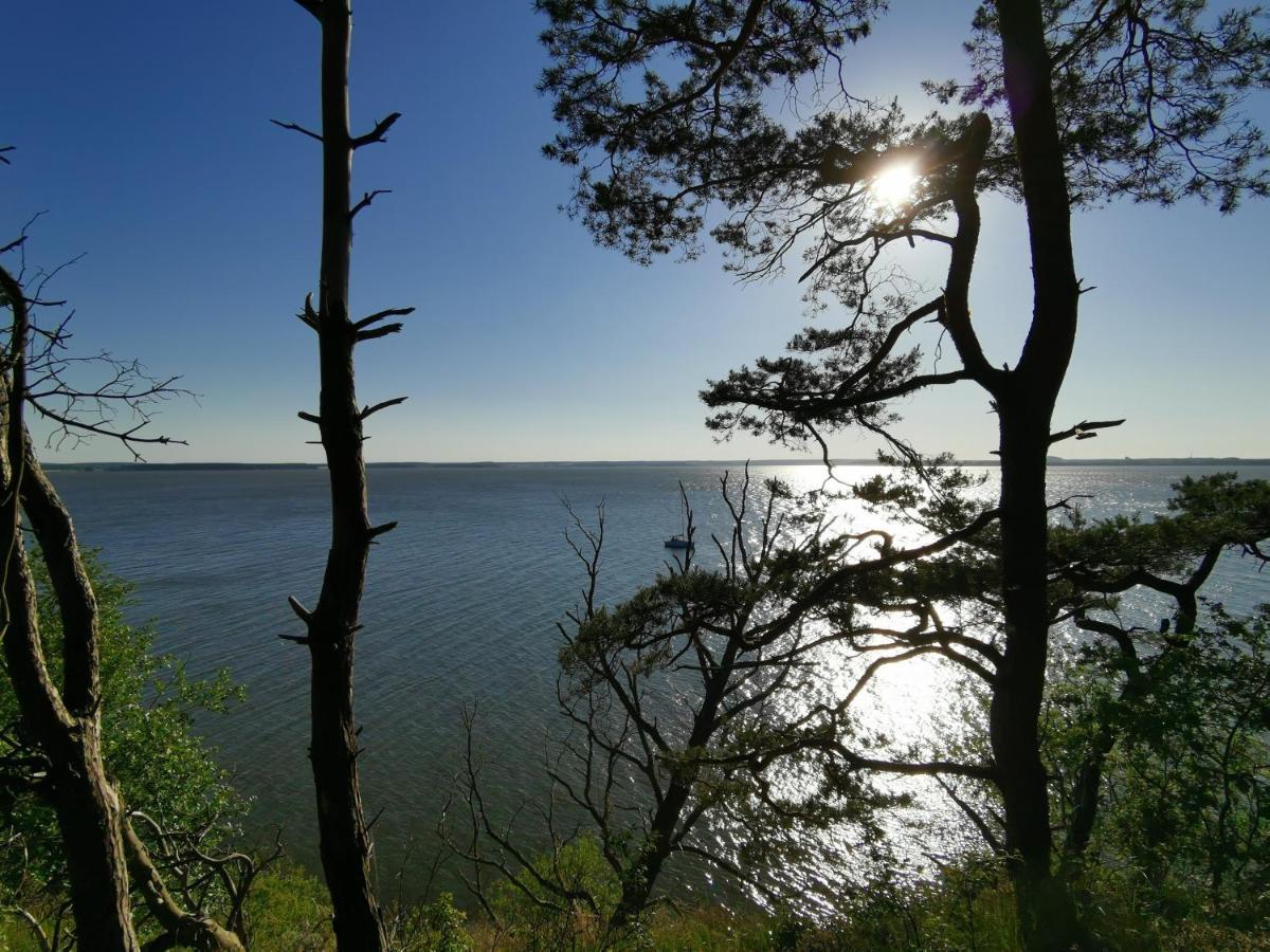 Apartment Waldblick Vom Naturhof Usedom Bannemin 外观 照片