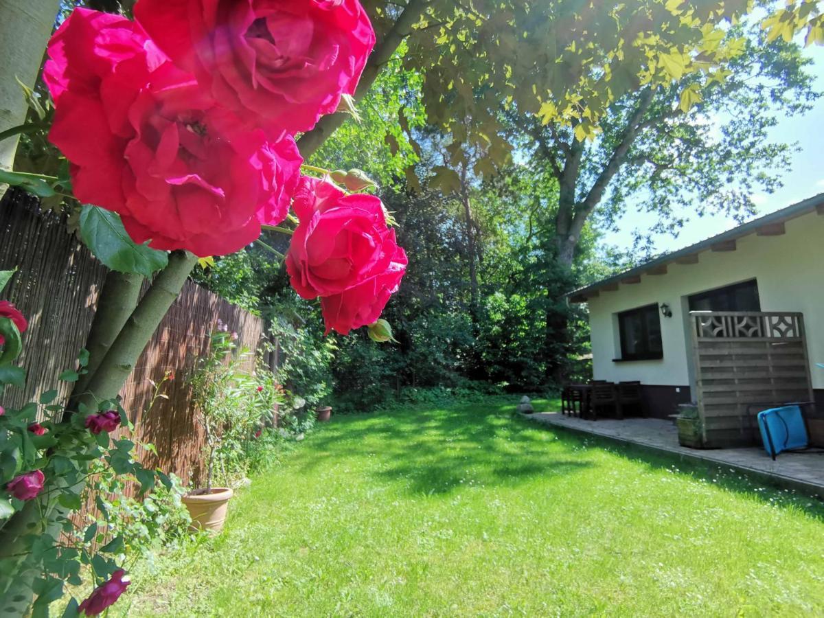 Apartment Waldblick Vom Naturhof Usedom Bannemin 外观 照片