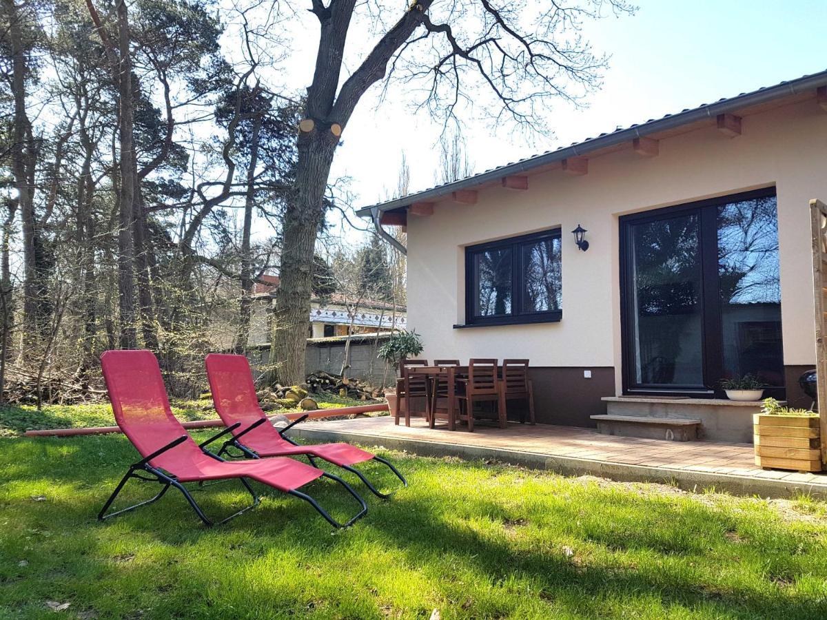 Apartment Waldblick Vom Naturhof Usedom Bannemin 外观 照片