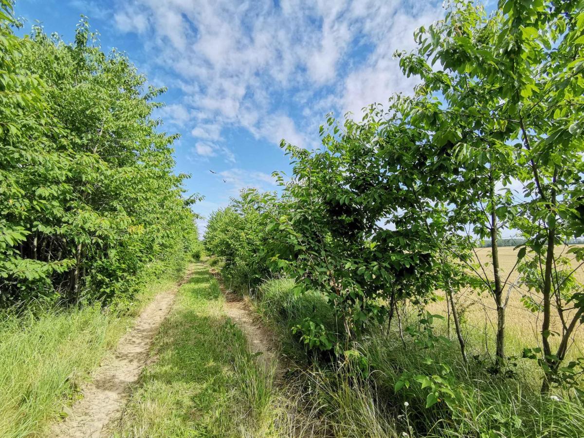 Apartment Waldblick Vom Naturhof Usedom Bannemin 外观 照片